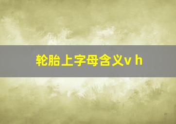 轮胎上字母含义v h